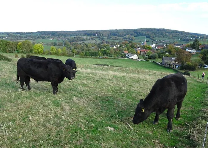 Groenpark * Симпелвелд