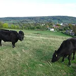 Groenpark * Simpelveld